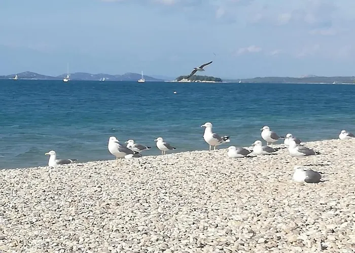 In With Sea View, Terrace, Air Conditioning, Wifi 公寓 皮罗瓦茨